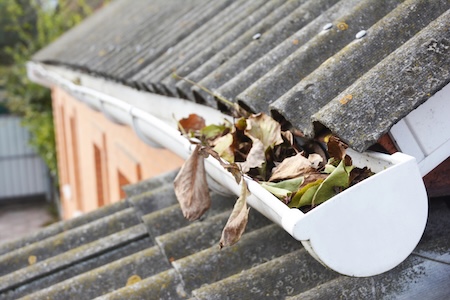 Why Regular Gutter Cleaning Matters More Than You Think