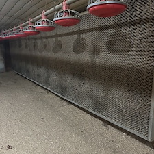 Amazing-results-in-Roanoke-Ala-with-chicken-house-cleaning 0