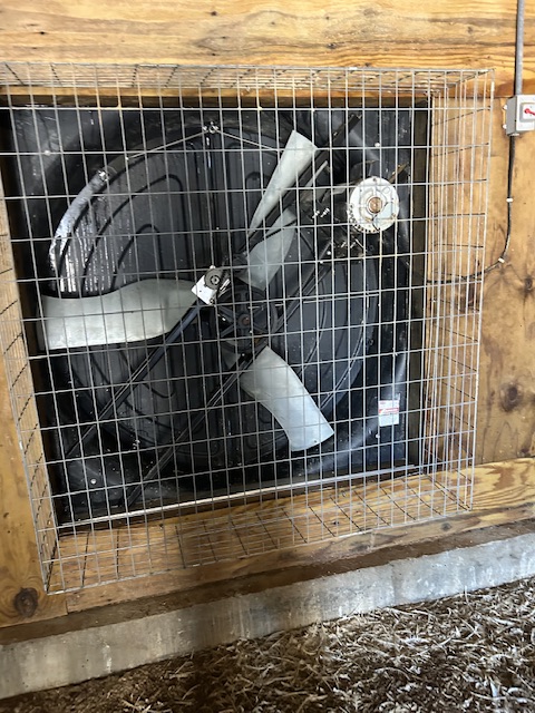 Best Job cleaning chicken house fans Thumbnail